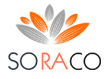 Soraco Technologies